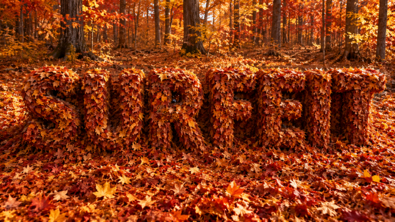 Surfeit