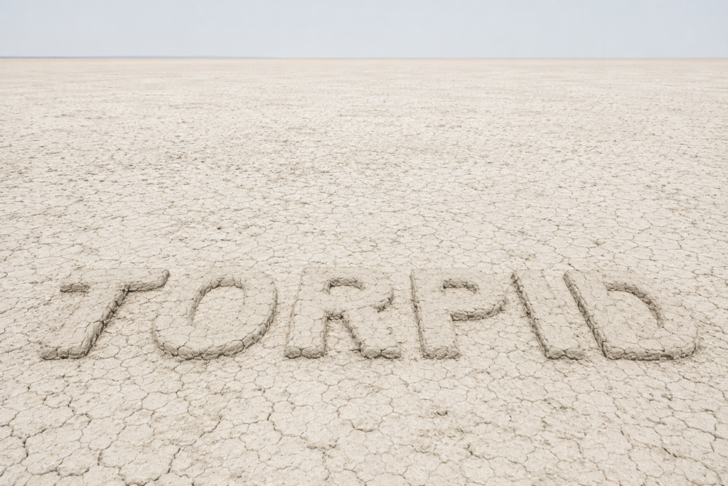 Torpid