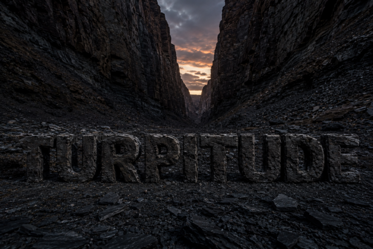 Turpitude